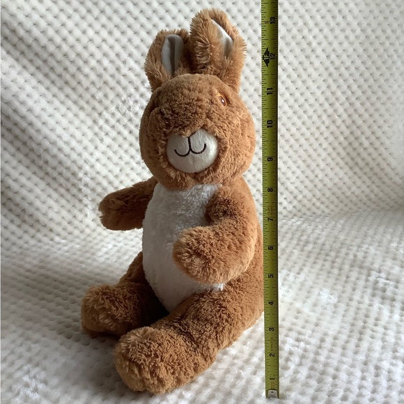 Peter Rabbit Beatrix Potter Plush Bunny Rabbit Stuffed Animal Embroidered Eyes - Picture 12 of 13
